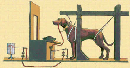Image result for pavlov dog cartoon facebook